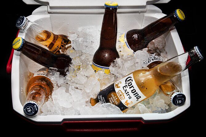 Private VAN Round-Trip from Airport to Hotel in San José del Cabo - What is this service, and why might it be the best choice for you?