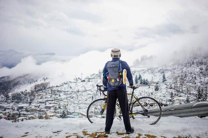 Private Vancouver to Squamish With Sea to Sky Gondola DayTrip - Discovering the Wonders of the Sea to Sky