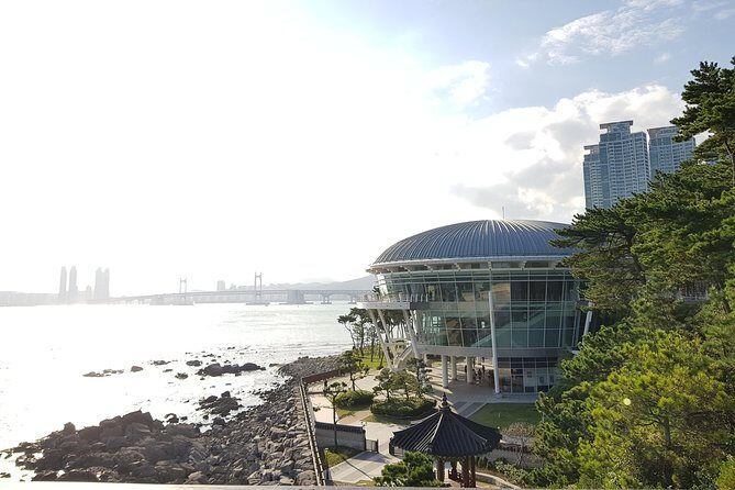 (Private Vehicle) Busan Tailored Tour: Curation for Food,Design,History,Culture - Wrapping It All Up