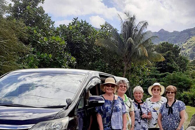 Private vehicle transfer Fiji Marriot Momi Bay to Nadi Airport - Key Points
