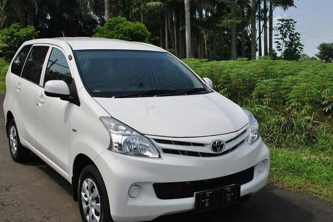 Private Vehicle with Driver at Bali Free & Easy-10 Hours - Authenticity and Reliability