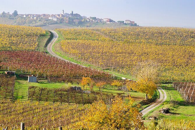 Private Vespa Tour "Among the hills of Barolo and Barbaresco" - Who Should Consider This Tour?