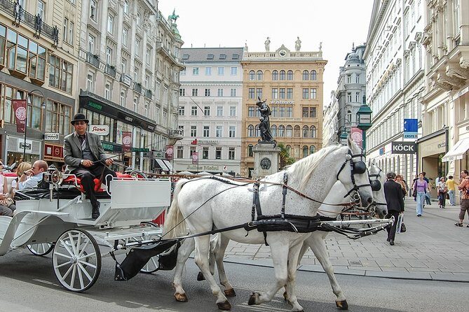 Private Vienna City Tour with Schonbrunn Palace Visit - Why Choose This Tour?