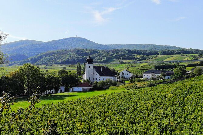 Private Vienna Woods Wine Tour - Key Points
