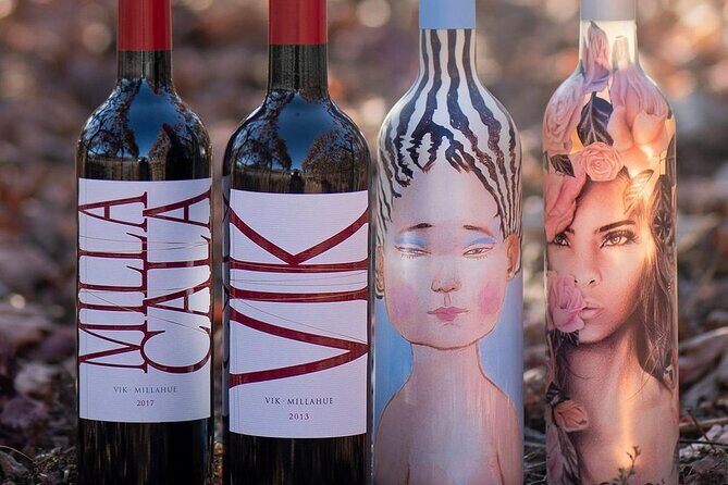 Private VIK Winery (2nd World Best Wine) & Transfer to Hotel - Key Points