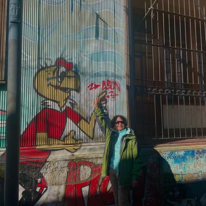 Private: Viña del Mar and Valparaiso Day Tour - Why This Tour Offers Good Value