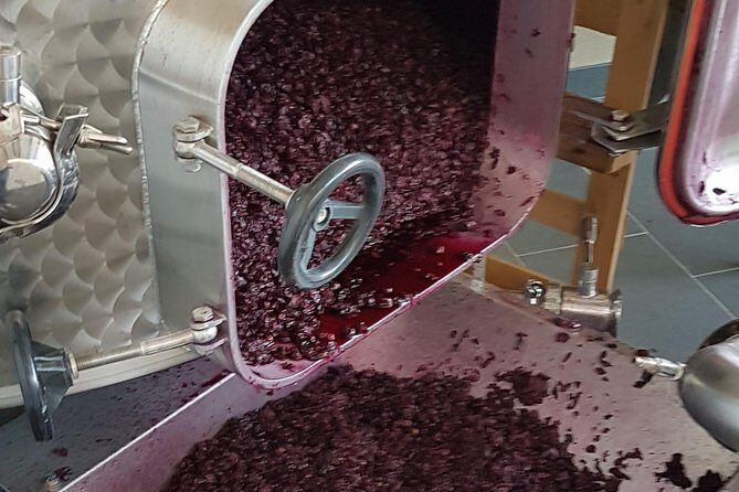 Private Vineyard Visit: Wine Tasting, Local Delicacies & Ceramics - Key Points