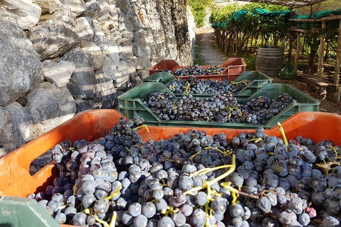 Private Vineyard Visit: Wine Tasting, Local Delicacies & Ceramics - Exploring the Amalfi Coast and Beyond