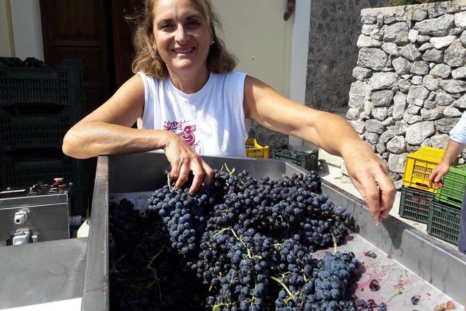 Private Vineyard Visit: Wine Tasting, Local Delicacies & Ceramics - FAQ