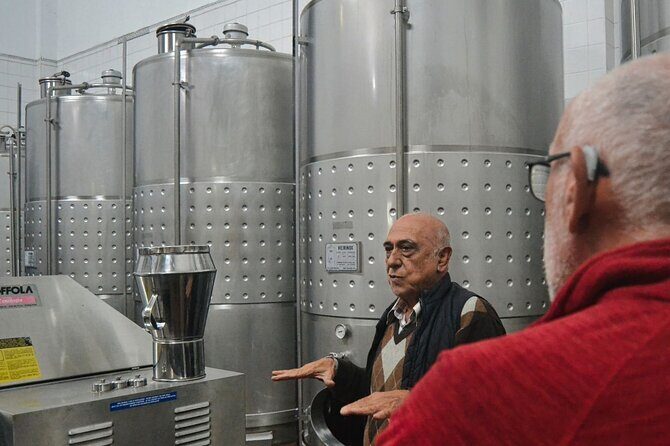 Private Vinho Verde Region Wine Tour from Porto Including Lunch - Discovering Amarante