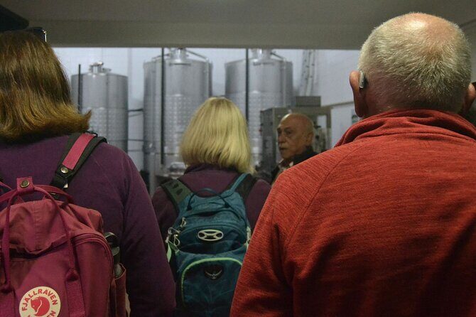 Private Vinho Verde Region Wine Tour from Porto Including Lunch - Who Would Love This Tour?