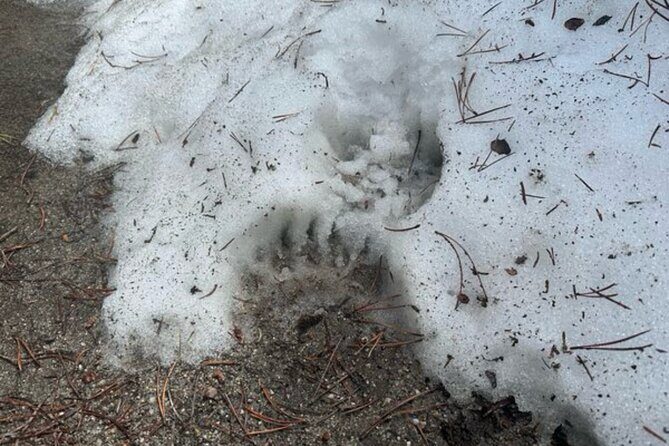 Private VIP Tour of Grand Teton National Park - FAQs