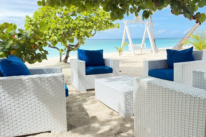 PRIVATE VIP tour Saona Island with Snorkeling, Starfish, Turtles - Summary: The Value of a Private Day in Paradise