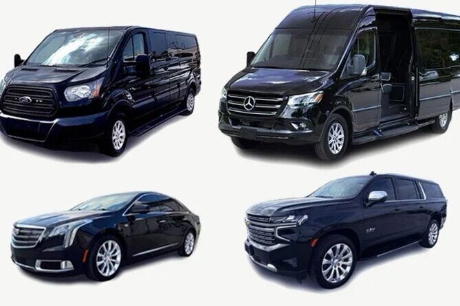 Private & VIP Transfer from puntacana AirPort to Bayahibe/romana - Key Points