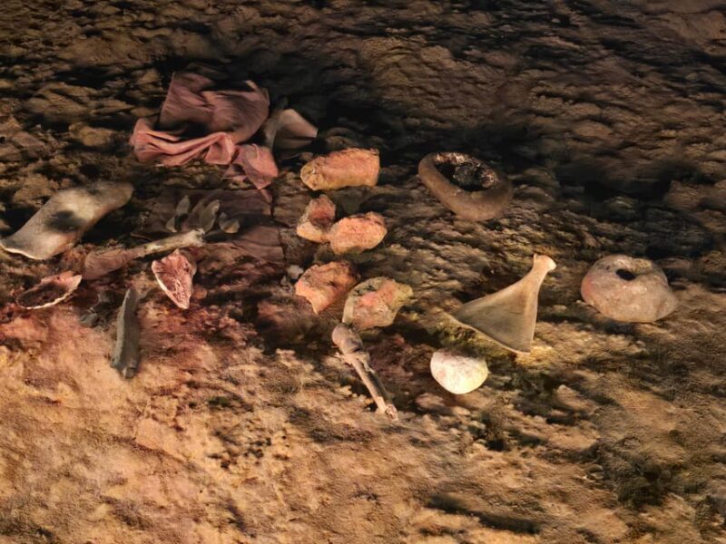 Private visit Altamira Museum and Neocave: the fascination of prehistory - An In-Depth Look at the Altamira Experience