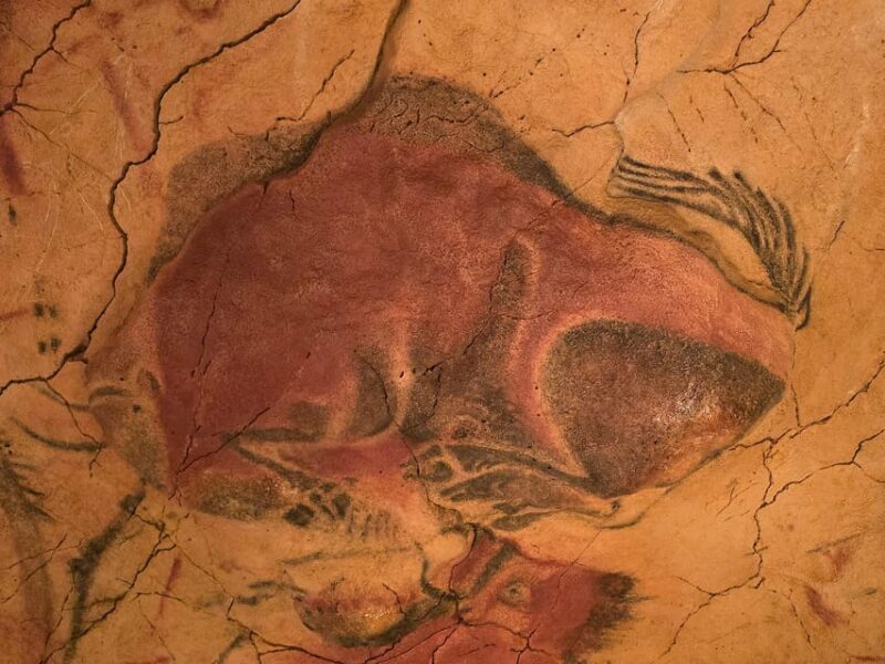 Private visit Altamira Museum and Neocave: the fascination of prehistory - The Sum Up