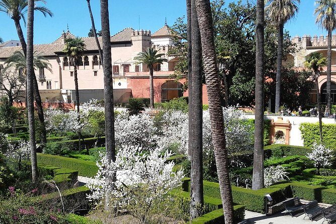 Private visit Cathedral and Royal Alcazares of Seville - Why This Tour Offers Great Value