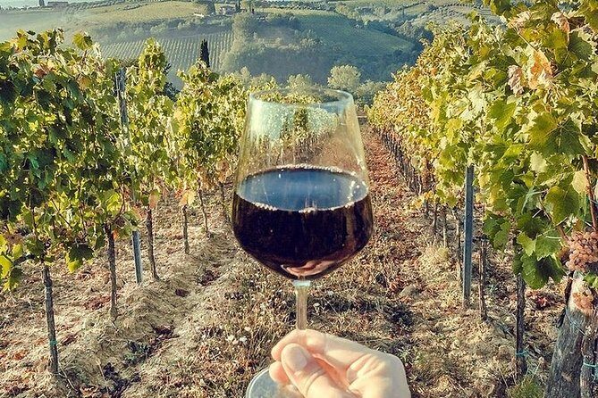Private visit to the cellars of Etna with wine tasting - The Sum Up