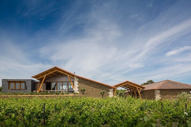 Private visit with wine tasting in Alijó Douro - Practical Details and Tips