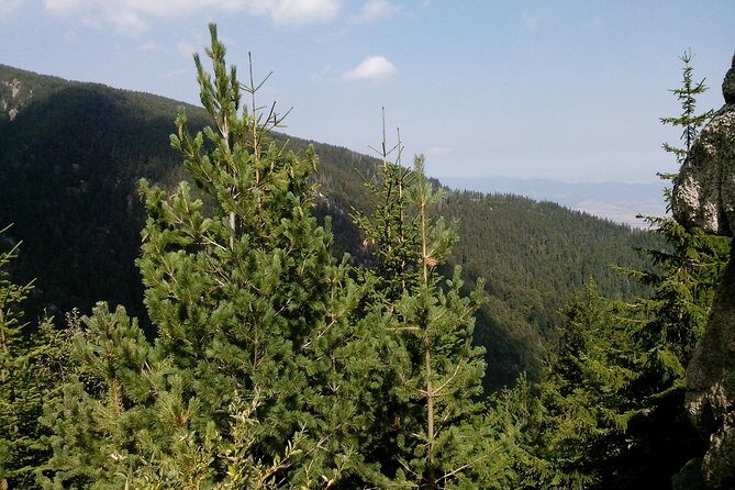 Private Vitosha Mountains Hiking with Black peak & Dragalevtsi Monastery - Who Should Consider This Tour?