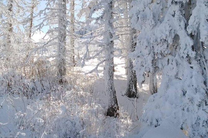 Private Vitosha Mountains Hiking with Black peak & Dragalevtsi Monastery - FAQ