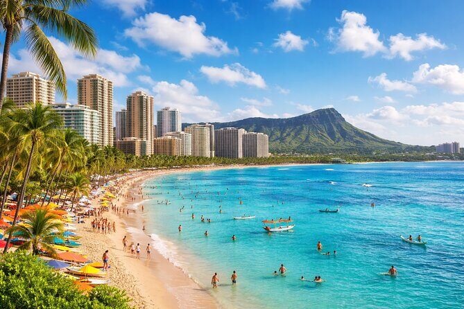 Private Waikiki Hotel Transfer Service to Airport - Reliable and Comfortable Waikiki Airport Transfer—A Review