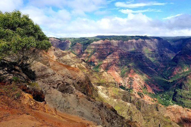 Private Waimea Canyon Tour - Final Thoughts