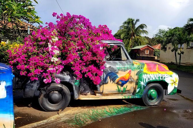 Private Waimea Canyon Tour - FAQ