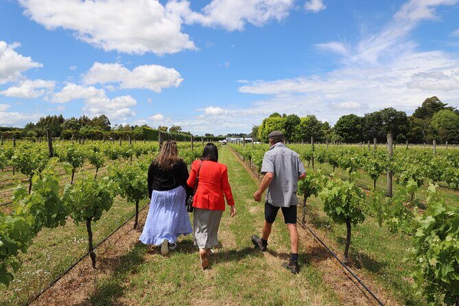Private Wairarapa Wine Delights Tour from Wellington - The Sum Up