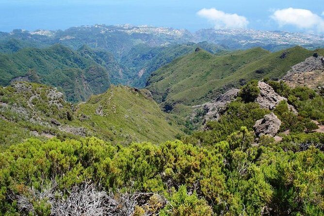 Private Walk Achadas Teixeira - Pico Ruivo Half-day - Exploring the Madeira Highlands: A Detailed Review