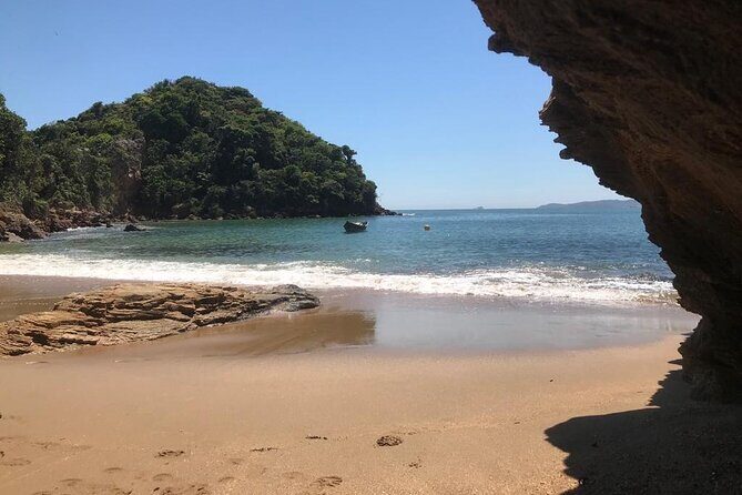 Private walk through Mangue de Pedras and Ponta do Pai Vitório - Discover the Unique Beauty of Búzios’ Mangrove de Pedras and Ponta do Pai Vitório