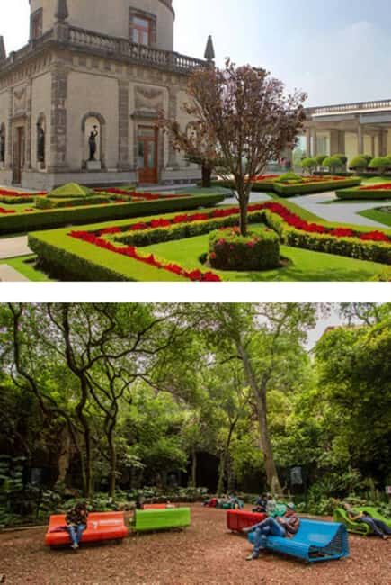 Private walking tour Gems of Historic Center of Mexico City - Authenticity and Genuine Value