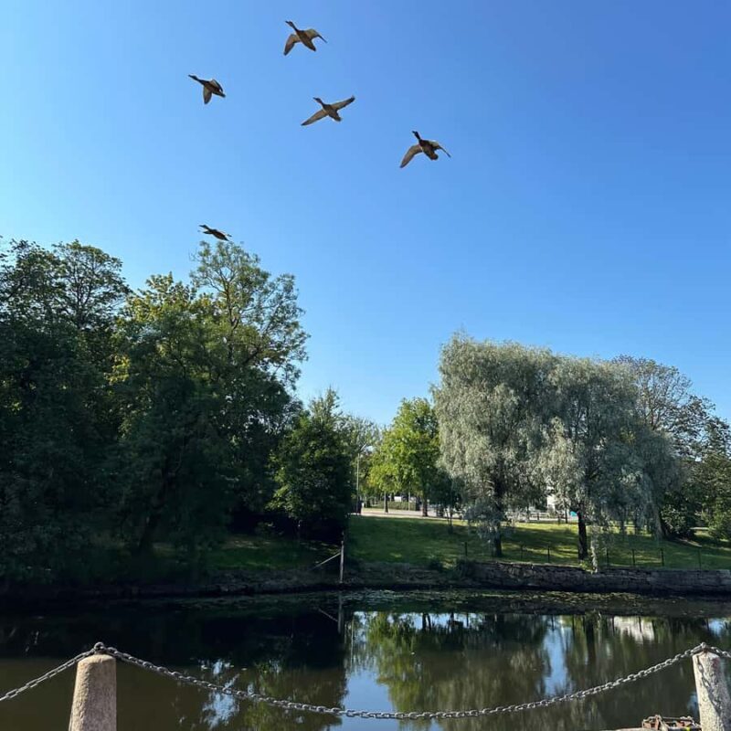 Private Walking Tour Gothenburg: Old Town & Åsa Coastline - Explore Gothenburg and Åsa on a Private Guided Walking Tour