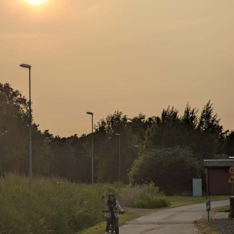 Private Walking Tour Gothenburg: Old Town & Åsa Coastline - Analyzing the Value