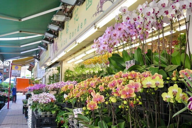 Private Walking Tour: Hong Kong Local Markets Hopper - A Deep Dive into the Hong Kong Markets Hopper