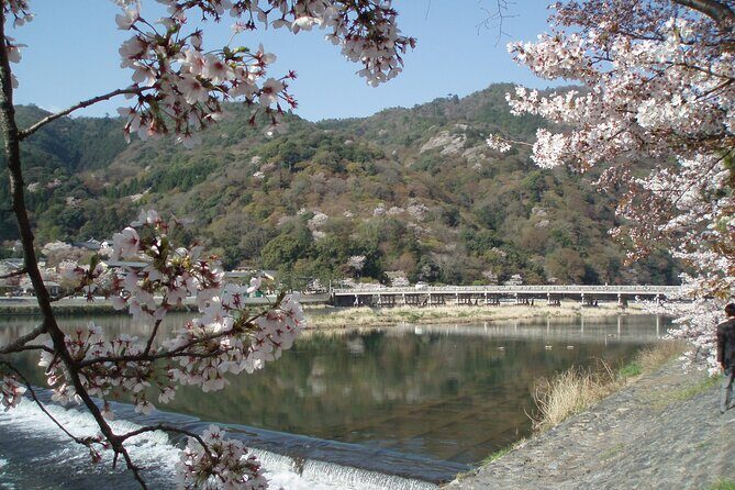Private Walking Tour in Bamboo Forest & Hidden Spots in Arashiyama - Why This Tour Offers Great Value