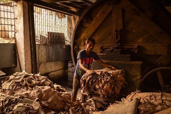 Private Walking Tour in Dharavi Slums - Why This Tour Offers Great Value