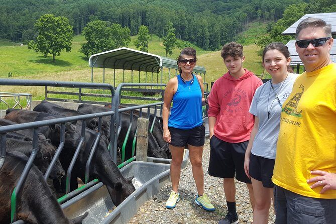 Private Walking Tour of a Real Working Cattle Ranch - An In-depth Look at the Ranch Experience