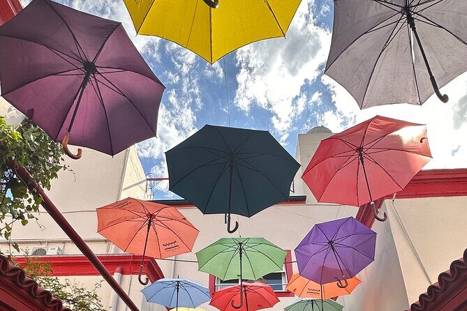 Private Walking Tour of Buenos Aires South Neighborhoods - Key Points