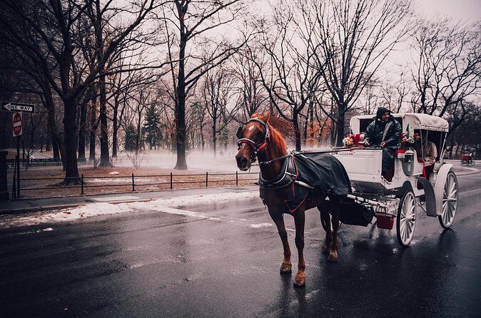 Private Walking Tour of New York with Metro - Analyzing the Cost and Value