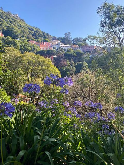 Private walking tour of Sintra village + Quinta da Regaleira - Who Would Love This Tour?