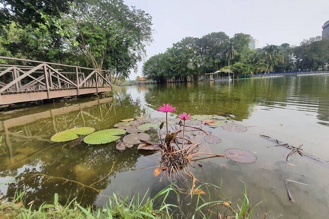 Private Walking Tour of the Shah Alam Lake Gardens with Pick Up and Lunch - A Peaceful Half-Day Escape from Kuala Lumpur