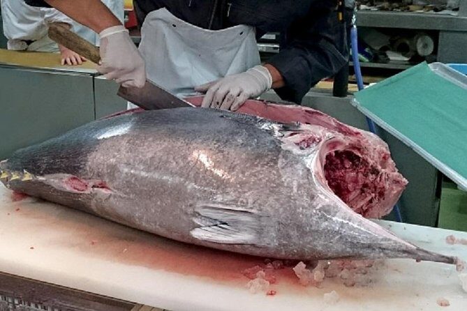 Private Walking Tour of Tokyo with a water bus ride - FAQ Section