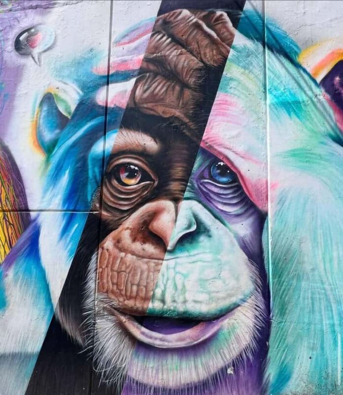 Private walking tour through the Comuna 13 of Medellin. - Final Thoughts: Who Should Consider This Tour?