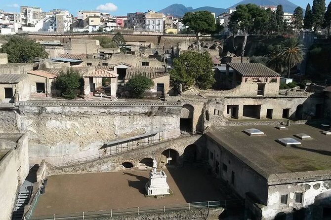 Private Walking Tour through the Historical City of Herculaneum - Practical Considerations