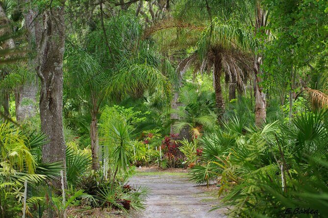 Private Walking Tour to St. John's Botanical Garden - Experience the Beauty of North Florida on a Private Walking Tour of St. John’s Botanical Garden