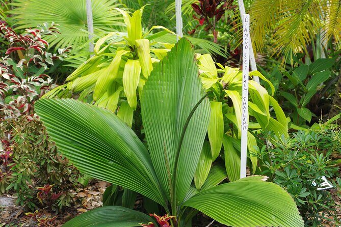 Private Walking Tour to St. John's Botanical Garden - Final Thoughts: Who Will Love This Tour?