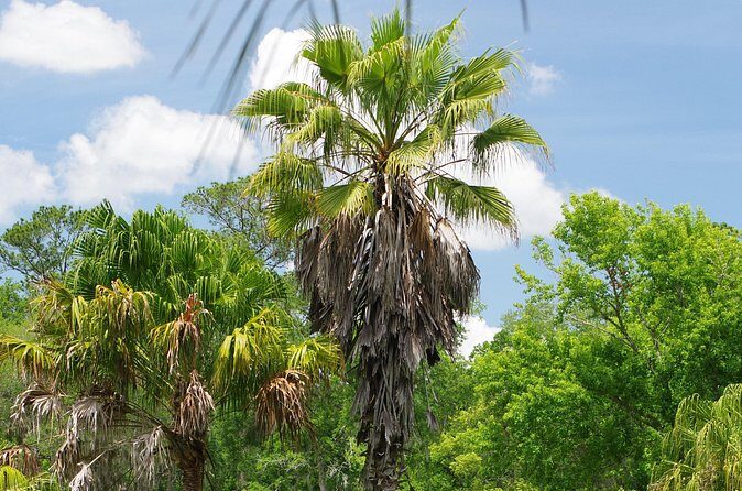 Private Walking Tour to St. John's Botanical Garden - FAQ