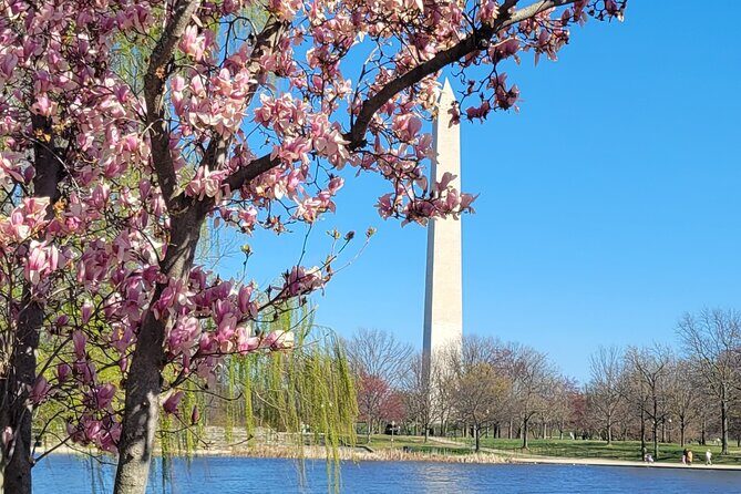 Private Washington DC Tour with Changing of the Guard Ceremony - Frequently Asked Questions