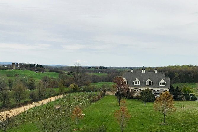 Private Washington DC Virginia Winery Wine Tasting Tour -Spirited - Final Thoughts